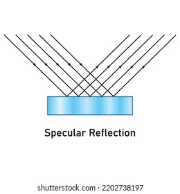 Specular reflection diagram. Scientific vector illustration isolated on white background.