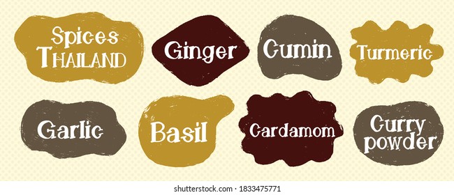 Speech Text Lable Cuisine Spice Set. Collection Design Name Designation. Vector Illustration.