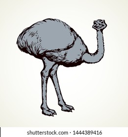 Speed going fun old fluffy huge pet rhea stand on sand earth. Freehand outline ink hand drawn picture symbol sign logo pictogram in art doodle engrave retro style pen on paper text space. Closeup view