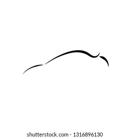 Speed vector logo. Car vector logo. Racing logo