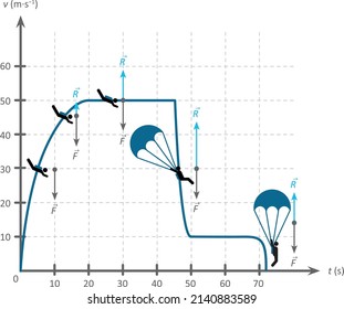 Speed versus time graph referring to the movement of a skydiver 