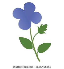 speedwell vector on white background