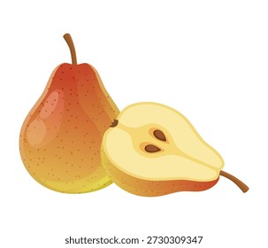 Ilustración vectorial de frutas Speierling. Verdadero árbol de servicio poema aislado sobre fondo blanco. Frutas silvestres raras