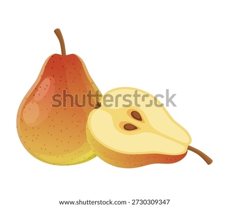 Speierling Fruit Vector Illustration. True Service Tree Pome Isolated on White Background. Rare Wild Fruit