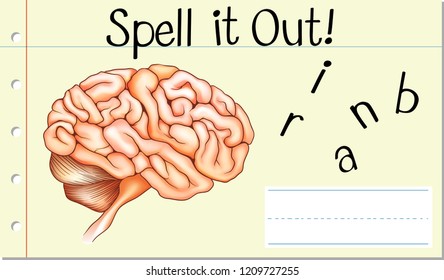 Spell English word brain illustration