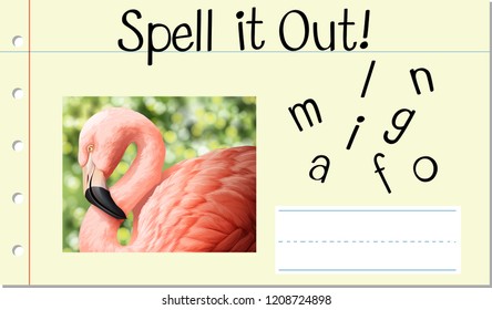Spell English word flamingo illustration