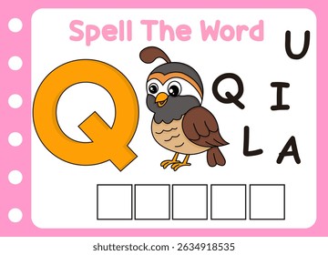 spell the word of cute quail  . cute little quail with letter of q  