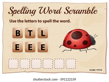 Juego de rayado de palabras ortográficas para ilustración de escarabajo de palabras