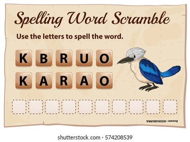 Spelling word scramble for word kookabura illustration