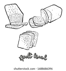 Esbozo de pan espelado separado en blanco. Dibujo vectorial de pan de levadura, generalmente conocido en Europa. Serie de ilustraciones alimentarias.