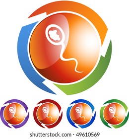 Sperm Cell