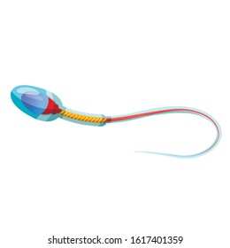 Sperm cell anatomy educational flat vector illustrations. Genetic material carrier conceptual structure, Head with nucleus, mitochondria and tail. Reproduction, biology design element