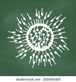 Sperm cell line Icon design white chalk. Draw a picture on the blackboard.