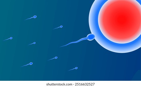 Células de espermatozoides acercándose a la ilustración de células de huevo