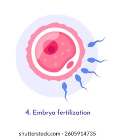 Sperm cells approaching an egg cell in a simplified flat style on a white background, representing embryo fertilization in human reproduction. Vector illustration