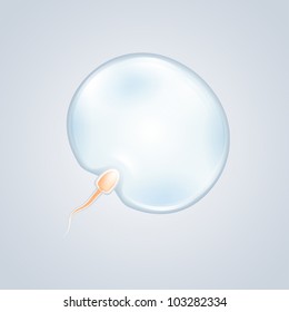 Sperm And Egg Art
