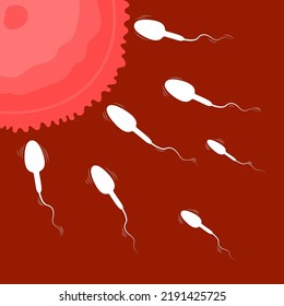 Esperma y óvulos, vector de fertilización