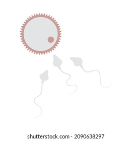 Sperm And Egg Cell Icon. Flat Color Design. Vector Illustration.
