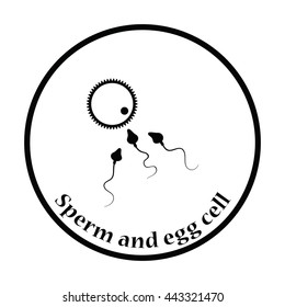 Sperm and egg cell icon. Thin circle design. Vector illustration.