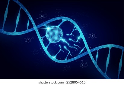 Espermatozoides e óvulos Célula do gene do DNA azul de dupla hélice. Biologia genética sintética combinada. Órgão de anatomia brilhante poligonal. Análise de código timina, adenina, guanina, citosina. Vetor de ciência médica.