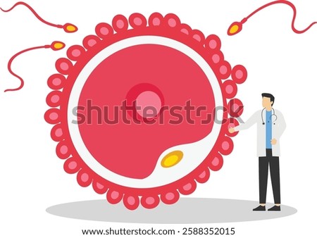 Sperm and egg. The concept of fertilization. Human reproductive system

