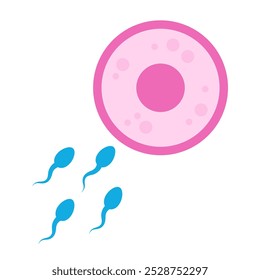 Ilustración vectorial del icono del esperma y del huevo aislada en el fondo blanco