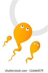 Sperm and Egg, vector illustration