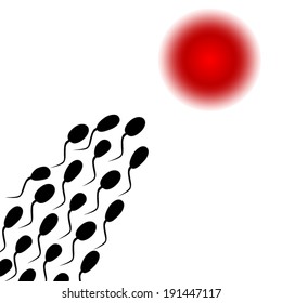 sperm to fertilize the egg in a hurry