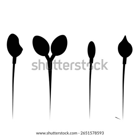 Sperm head disorder showing abnormal sperm morphology. Represents male infertility, reproductive issues, and diagnostic studies. Suitable for medical, biology, or fertility-related visuals.