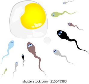 Sperm into egg scramble