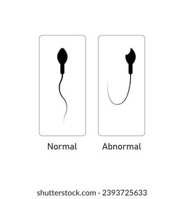 Sperm Morphology Scientific Design. Vektorgrafik.