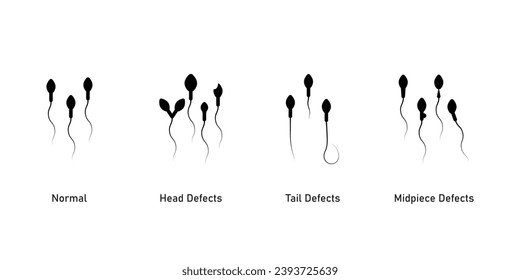 Sperm Morphology Scientific Design. Vektorgrafik.