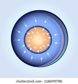 Sperm moving to the egg vector illustration of the reproduction. Spermatozoon under the microscope.