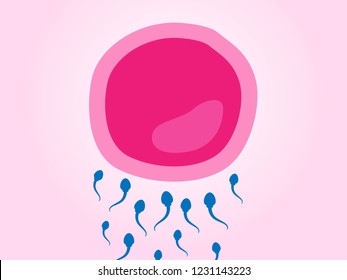 Sperm Ovum Cartoon Stock Vector (Royalty Free) 1231143223 | Shutterstock