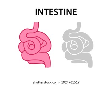 Sperm and ovum with Natural fertilization, reproductive system, pregnancy. Vector illustration.