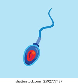 Sperm Structure and Function. illustration of sperm fertilization