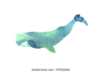 Sperm whale. Cachalot. Physeter macrocephalus. Whale isolated on a light background. Logo for your design. Hand drawn.