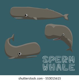 Sperm Whale Cartoon Vector Illustration