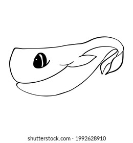 Sperm whale. Children's contour illustration. Doodle style. Vector. Can be used for coloring
