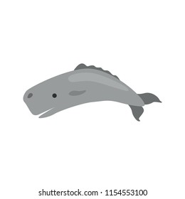 Sperm whale color vector icon. Flat design