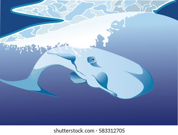 sperm whale diving in the ocean