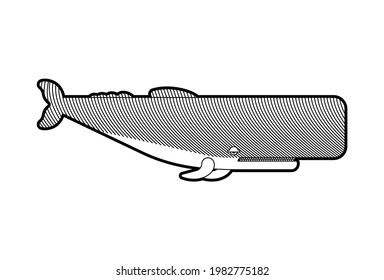 Sperm whale Engraving. Cachalot etching vector illustration