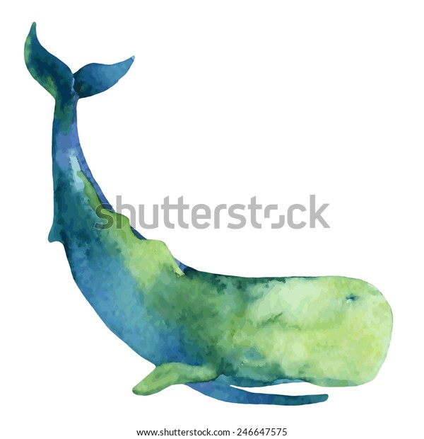 マッコウクジラ 手描きのイラスト のベクター画像素材 ロイヤリティフリー