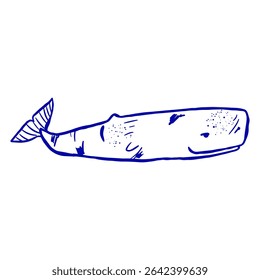 Sperm whale hand drawn sketch. Simple  line art sea mammal vector illustration.