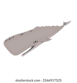 Sperm whale icon clipart avatar logotype isolated illustration