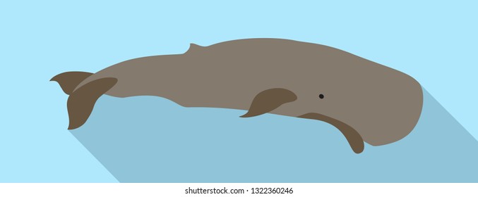 Sperm whale icon. Flat illustration of sperm whale vector icon for web design