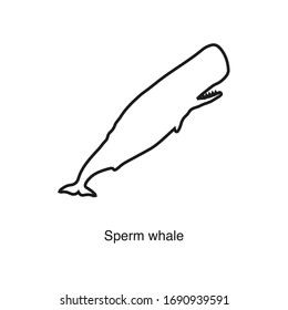 Sperm whale icon vector on white background. Black icon illustration