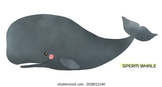 Sperm whale illustration in watercolour style. Cute whale isolated from background.