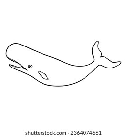 sperm whale line vector illustration,isolated on white background,top view