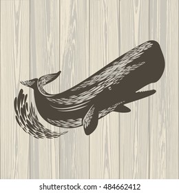 Sperm whale on wooden background, illustration, vector 